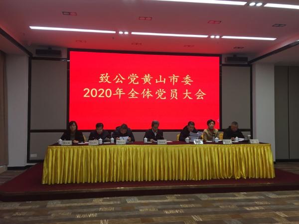 市审计局参加致公党黄山市委年终总结会议